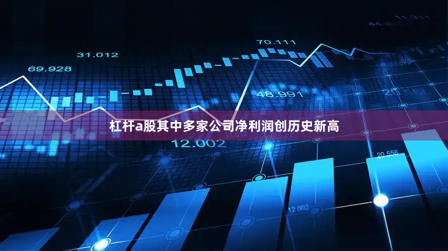 杠杆a股其中多家公司净利润创历史新高